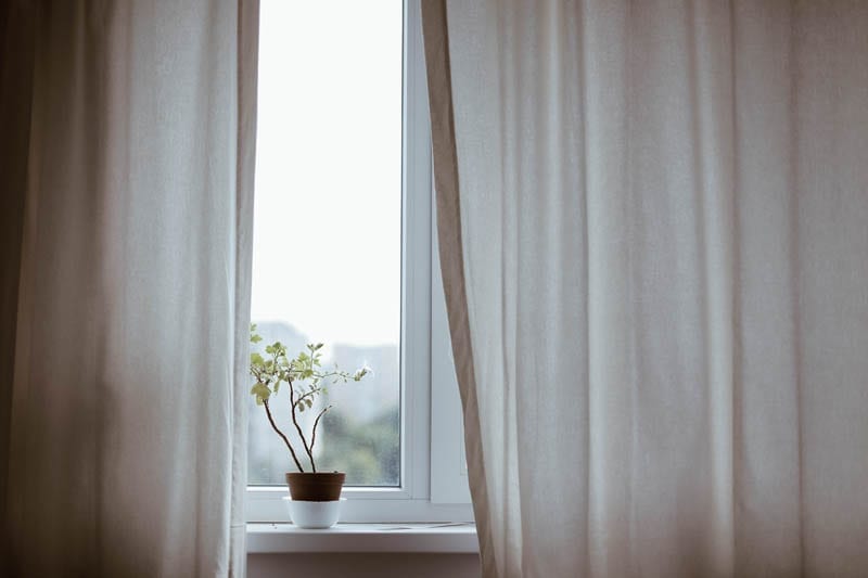A flower grows in a pot in front of a window.