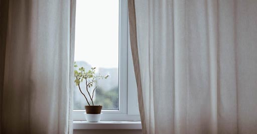 A flower grows in a pot in front of a window.